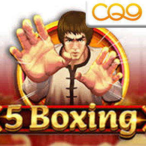 5 Boxing