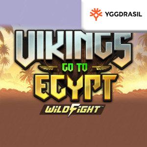 Vikings Go To Egypt Wild Fight image